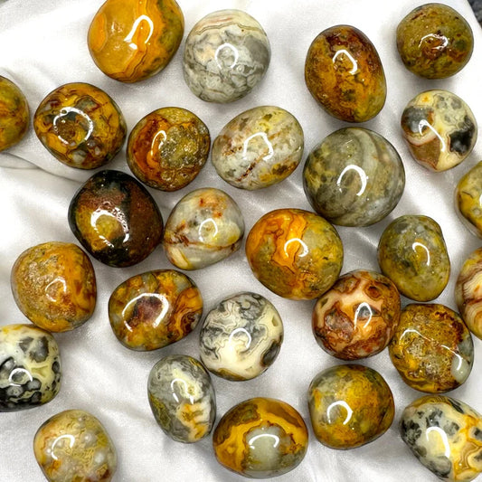 Crazy Lace Agate Tumbles