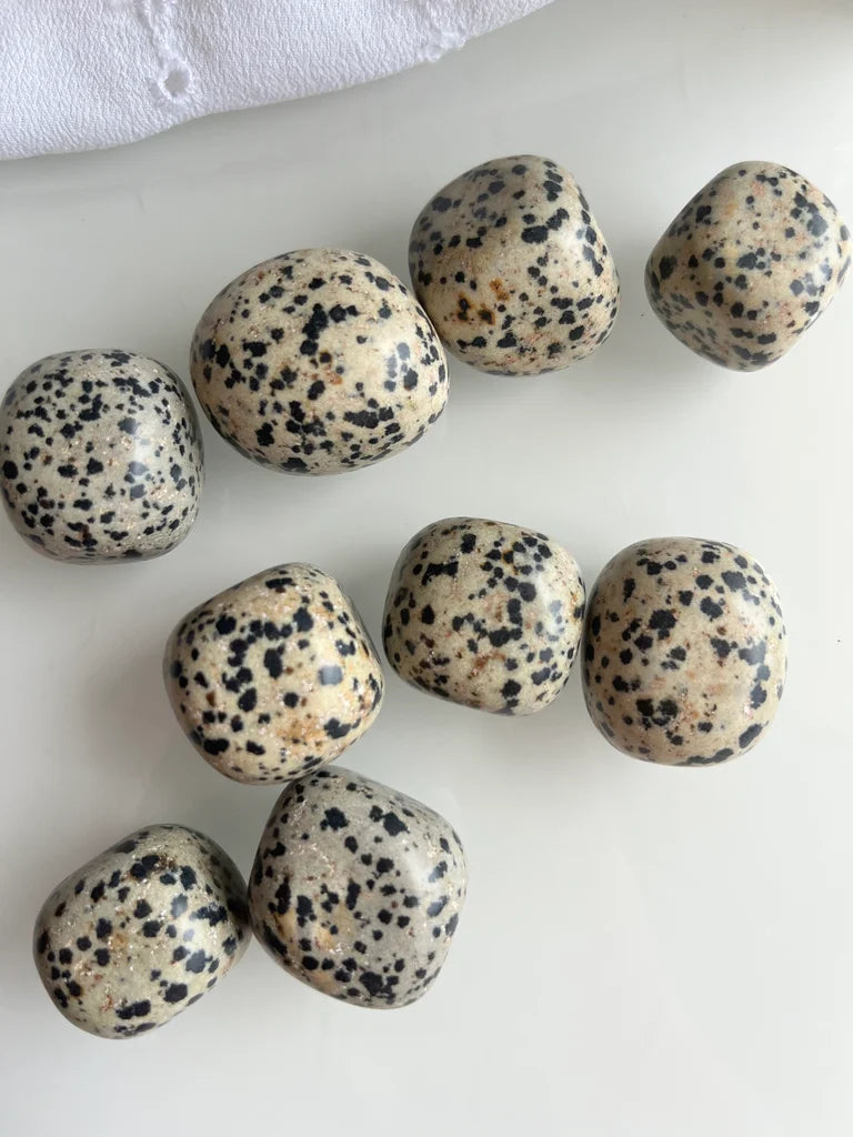 Dalmatian Jasper Tumbles