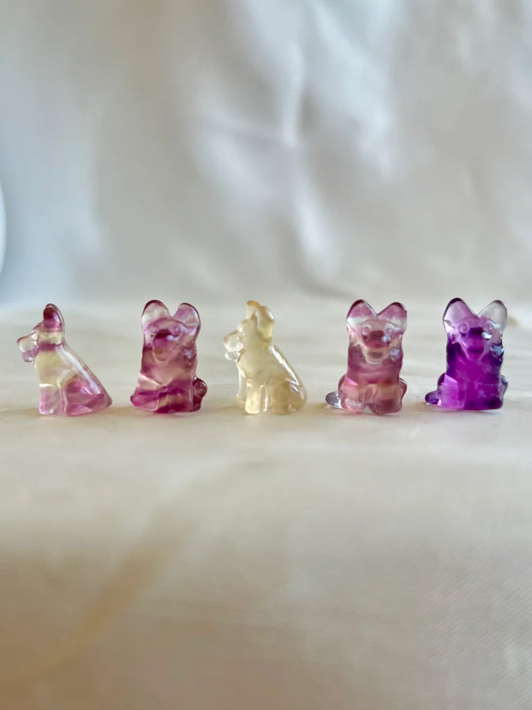 Mini Fluorite Dog Carvings | Intuitively Chosen