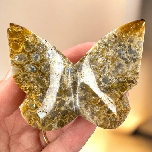 Coral Fossil 3D Butterfly