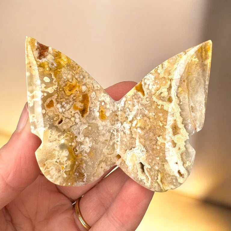 Yellow Crazy Lace Agate 3D Butterfly