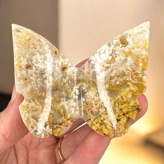 Yellow Crazy Lace Agate 3D Butterfly